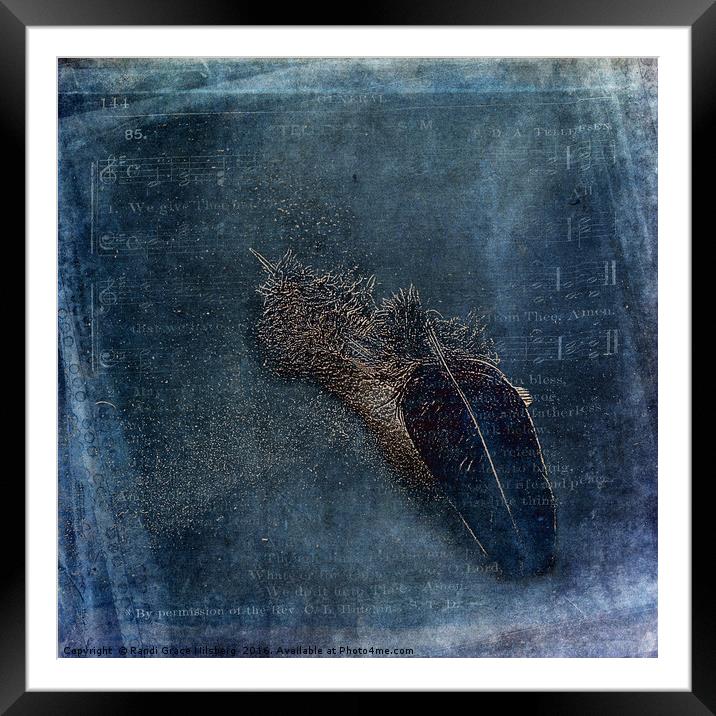 Flocking Feathers Framed Mounted Print by Randi Grace Nilsberg