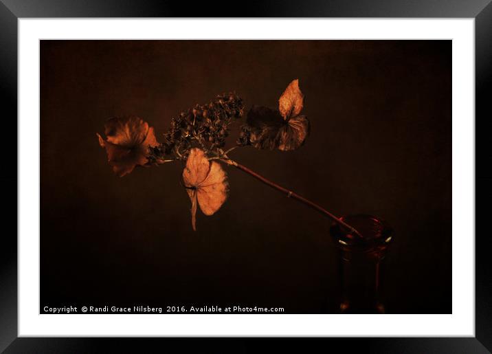 Two Flowers in One Framed Mounted Print by Randi Grace Nilsberg