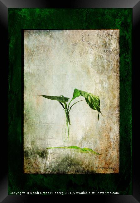 Green Melancholy Framed Print by Randi Grace Nilsberg