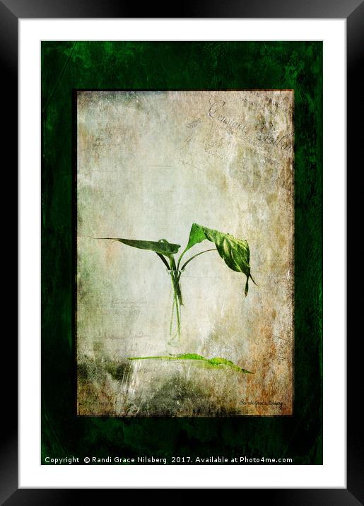 Green Melancholy Framed Mounted Print by Randi Grace Nilsberg