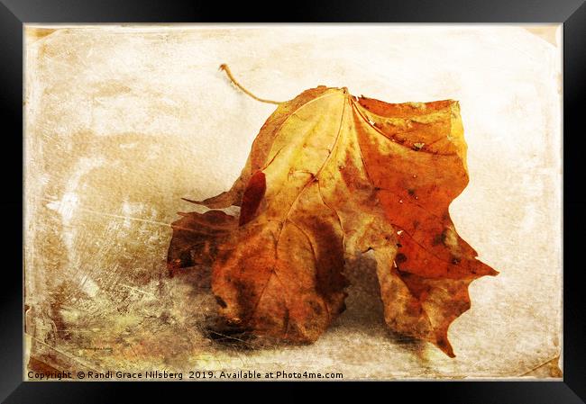 Autumn Texture Framed Print by Randi Grace Nilsberg