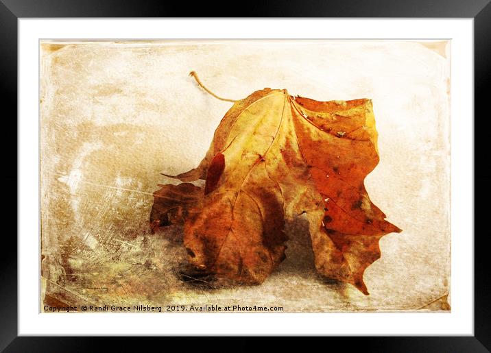 Autumn Texture Framed Mounted Print by Randi Grace Nilsberg