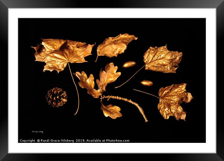 Collection of Gold Framed Mounted Print by Randi Grace Nilsberg