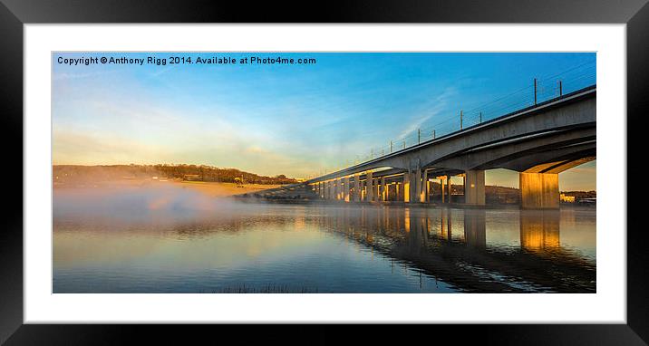 Misty Morning Framed Mounted Print by Anthony Rigg