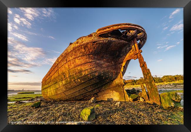 Rusting Ship Wreck  Framed Print by Anthony Rigg