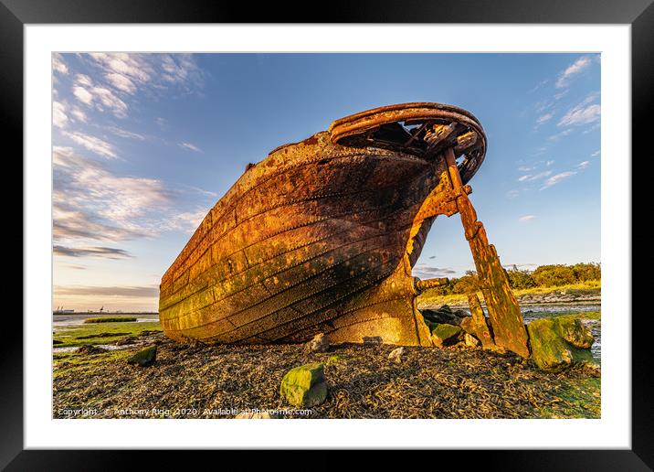 Rusting Ship Wreck  Framed Mounted Print by Anthony Rigg