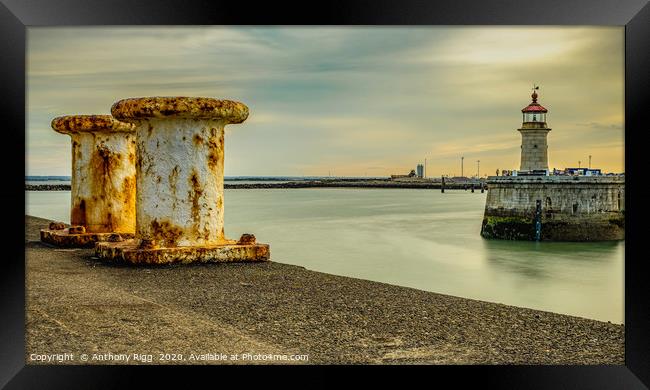 Ramsgate Lighthouse Framed Print by Anthony Rigg