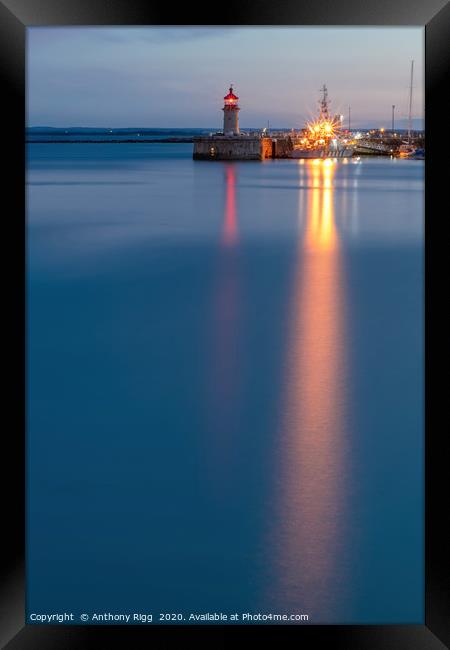 Harbour Lights Framed Print by Anthony Rigg