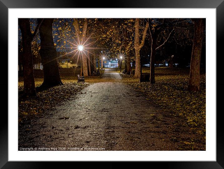After Dark in the Park Framed Mounted Print by Anthony Rigg