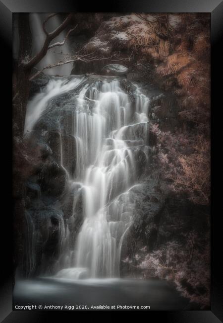 Buchan Burn Waterfall Framed Print by Anthony Rigg