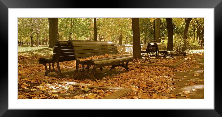 Autumn Bench Mirror Framed Mounted Print by Michael Wood