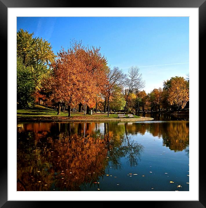 Reflection in the Park Framed Mounted Print by Michael Wood