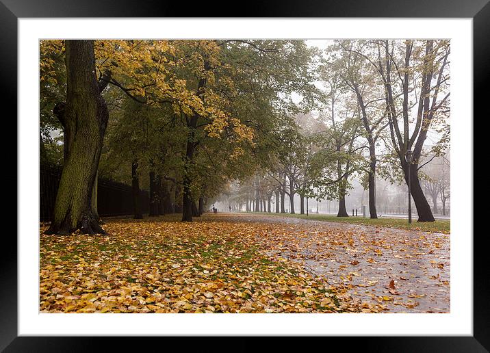 Foggy autumn in the city Framed Mounted Print by Robert Parma