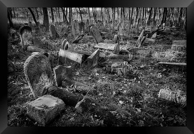 Jewish cemetery Framed Print by Robert Parma