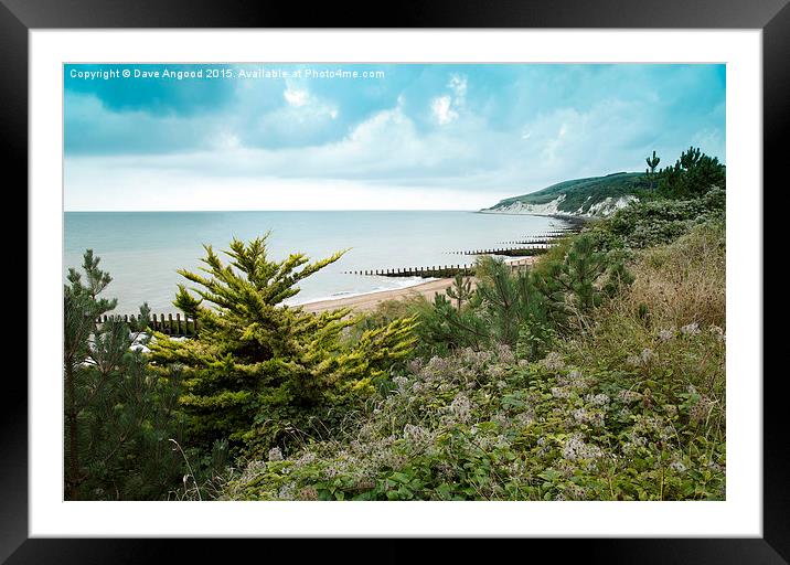  Beachy Head Framed Mounted Print by Dave Angood