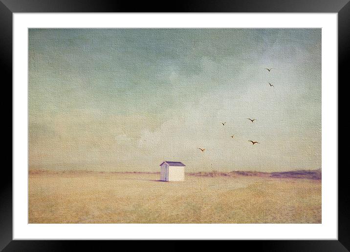 A Solitary Soul Framed Mounted Print by Lesley Mohamad