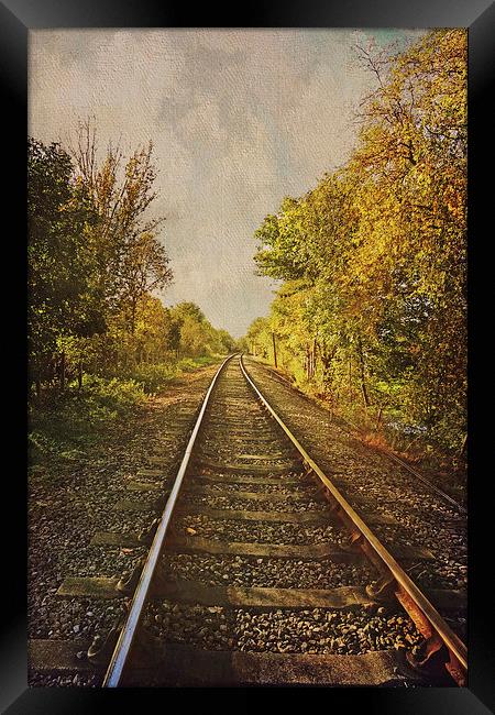 Autumn Tracks Framed Print by Lesley Mohamad
