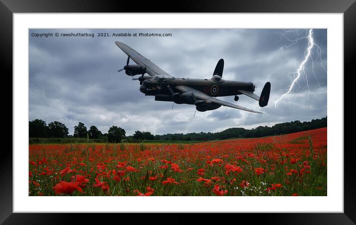 Lancaster Bomber Flying Over A Poppy Field With Li Framed Mounted Print by rawshutterbug 