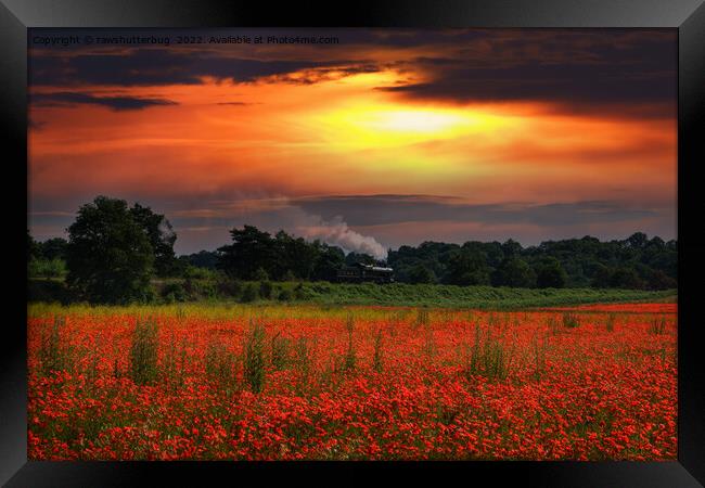 Sunrise Poppy Field And Steam Locomotive Framed Print by rawshutterbug 