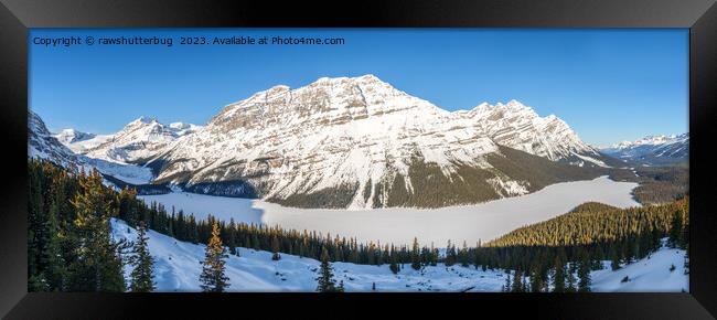 Winter Wonderland Serenity - Peyto Lake Panorama Framed Print by rawshutterbug 