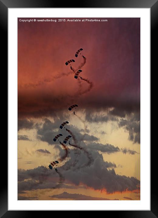 Sunset Falcons Framed Mounted Print by rawshutterbug 