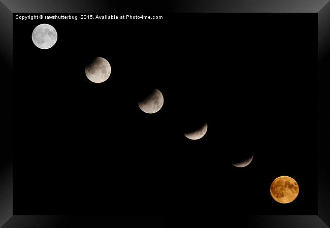 Supermoon Lunar Eclipse Framed Print by rawshutterbug 
