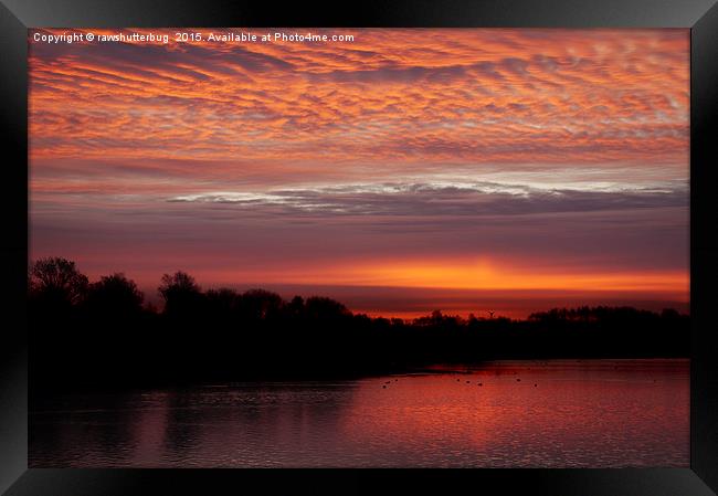 Red Sky At Chasewater Framed Print by rawshutterbug 