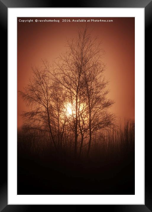 Sunset Behind Grove Of Trees Framed Mounted Print by rawshutterbug 