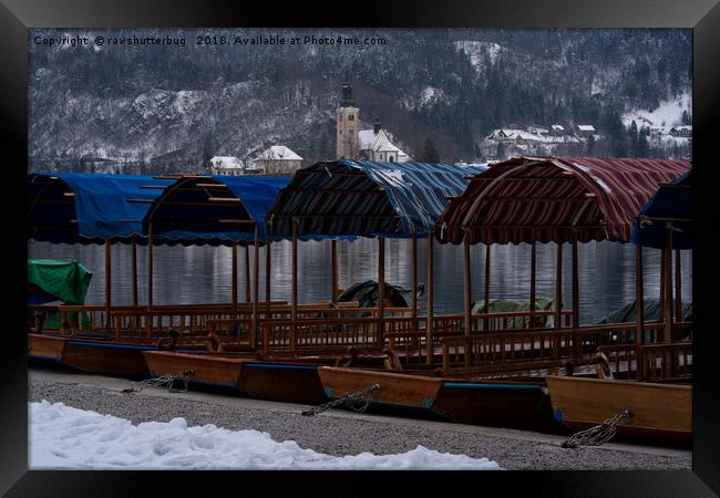 Pletna Boats At Bled Lake Framed Print by rawshutterbug 