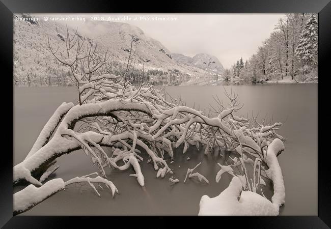 Frozen Lake Bohinj Framed Print by rawshutterbug 