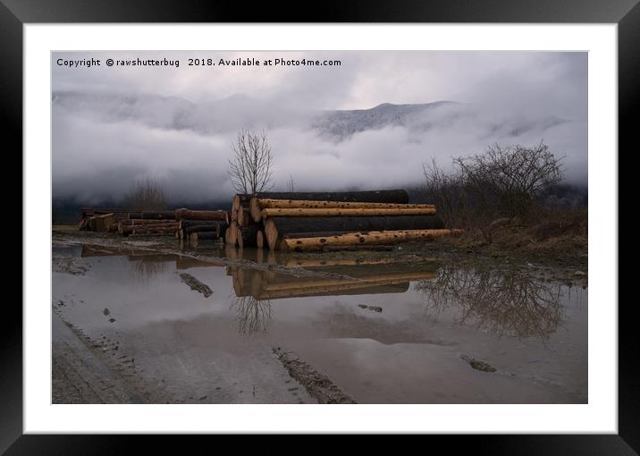 Misty Mountain Timber Logs Framed Mounted Print by rawshutterbug 