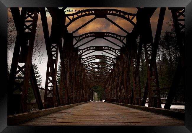 The Old Railway Bridge - Slovenia Framed Print by rawshutterbug 