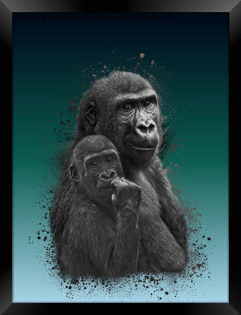 Gorilla Brothers Framed Print by rawshutterbug 