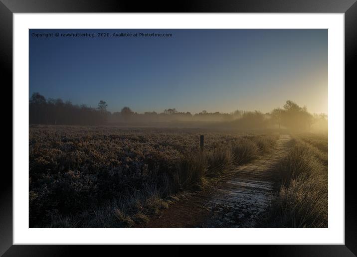 Frosty Morning At Chasewater Country Park Framed Mounted Print by rawshutterbug 