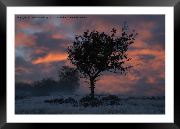 Frosty Sunrise At Chasewater Country Park Framed Mounted Print by rawshutterbug 