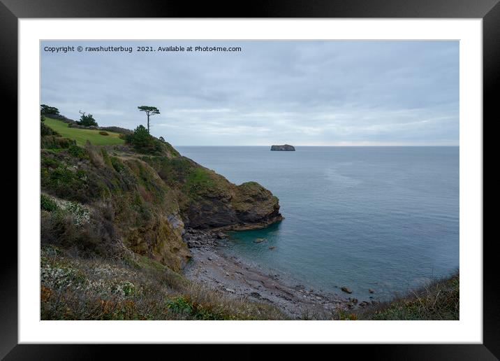 Single Tree At Thatcher Rock Point Framed Mounted Print by rawshutterbug 
