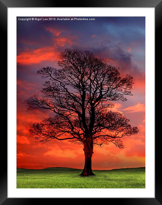 Sunset Wood Framed Mounted Print by Nigel Lee