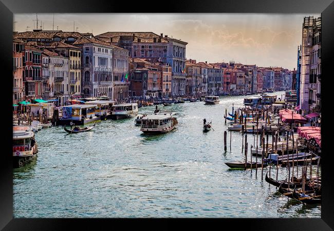 View From The Rialto Bridge Framed Print by Ray Hill