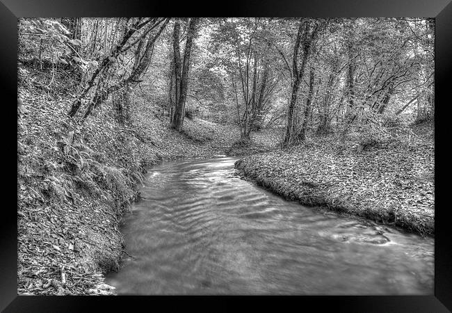 Flowing Through the Coppice Framed Print by Martyn Sothcott