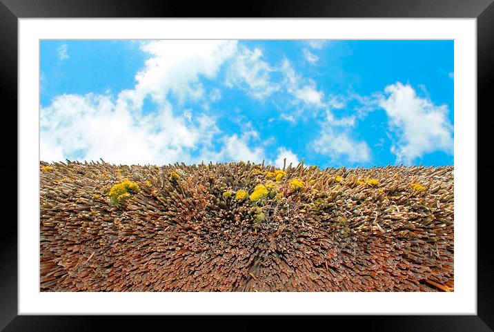Thatch and Sky Framed Mounted Print by Kayleigh Meek