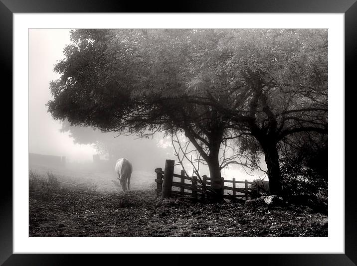 Misty Morning Framed Mounted Print by Alison Streets