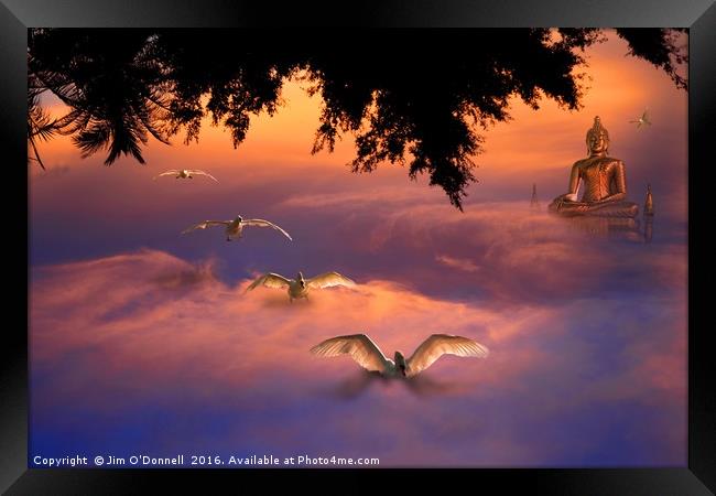Abstract Swans landing in the clouds Framed Print by Jim O'Donnell