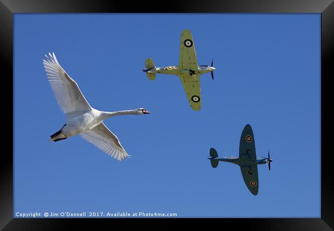 Formation flying Framed Print by Jim O'Donnell