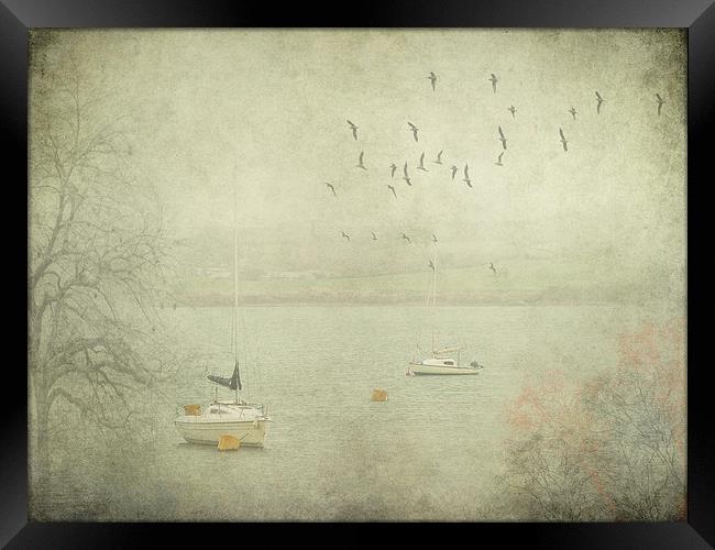Misty Morning on the Camel Estuary Framed Print by Jenni Cheesman