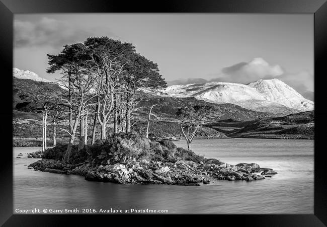 Scots Pines at Loch Assynt. Framed Print by Garry Smith