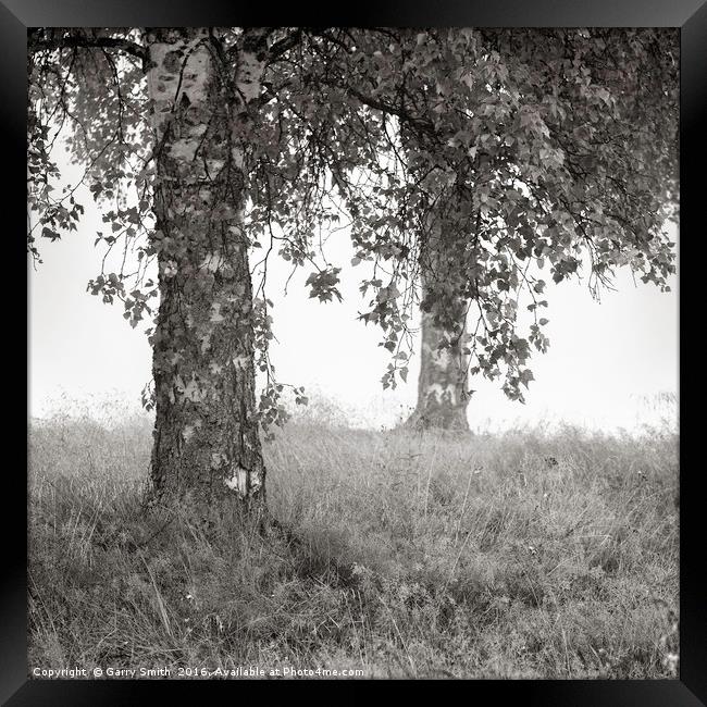 Trees at Sarna. Framed Print by Garry Smith