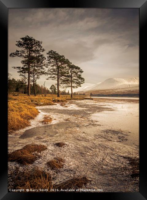 Scots and Ice. Framed Print by Garry Smith