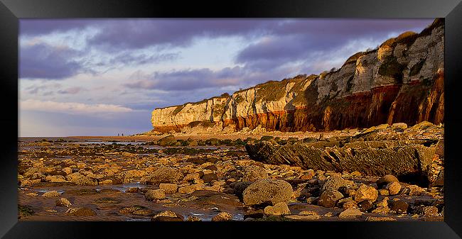 Hunstanton Wreck and Cliffs Framed Print by Adrian Searle
