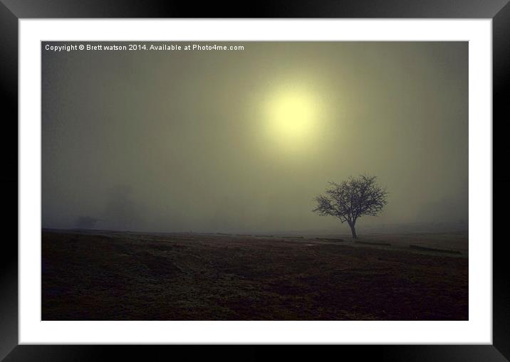  the mist at knole park Framed Mounted Print by Brett watson