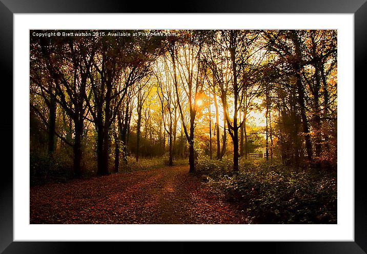  sun rise at haysden country park Framed Mounted Print by Brett watson